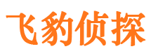 湛河市婚外情调查